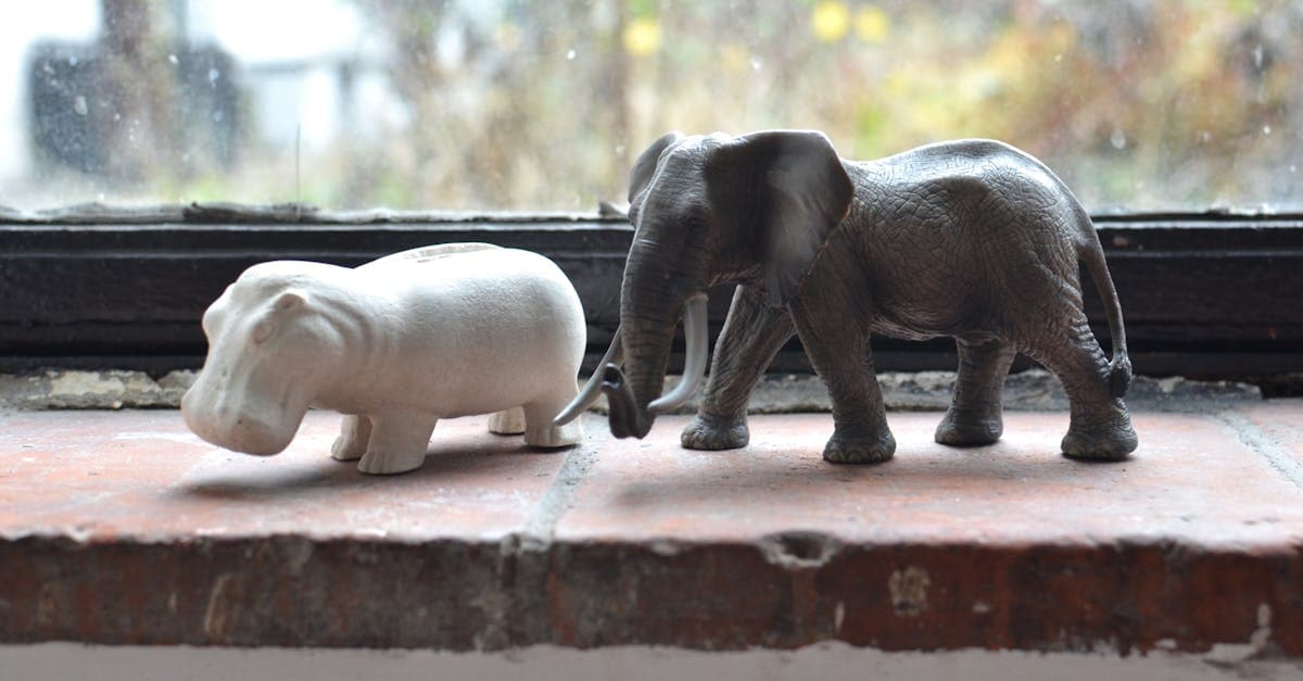 Cover image for Explore the Wild: Tailored African Safari Packages for Unforgettable Experiences