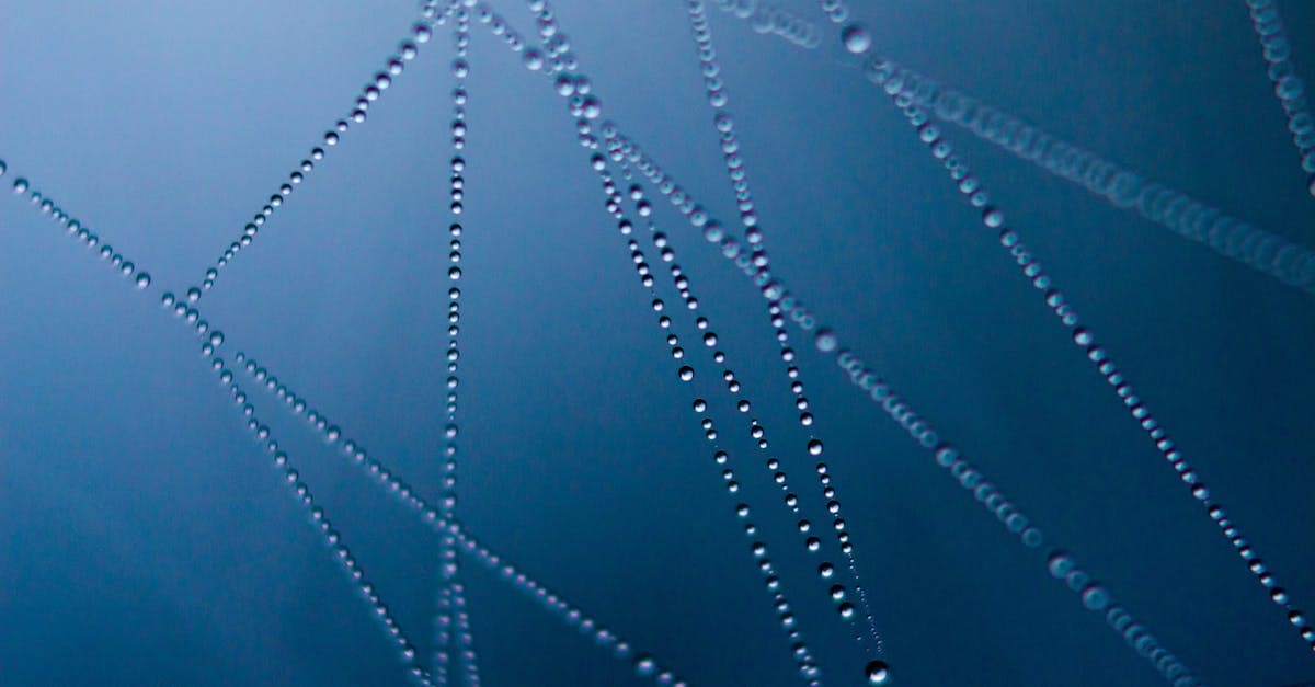 Cover image for Elevate Your Beauty: Discover the Magic of PDO Thread Lifts for a Sculpted Look